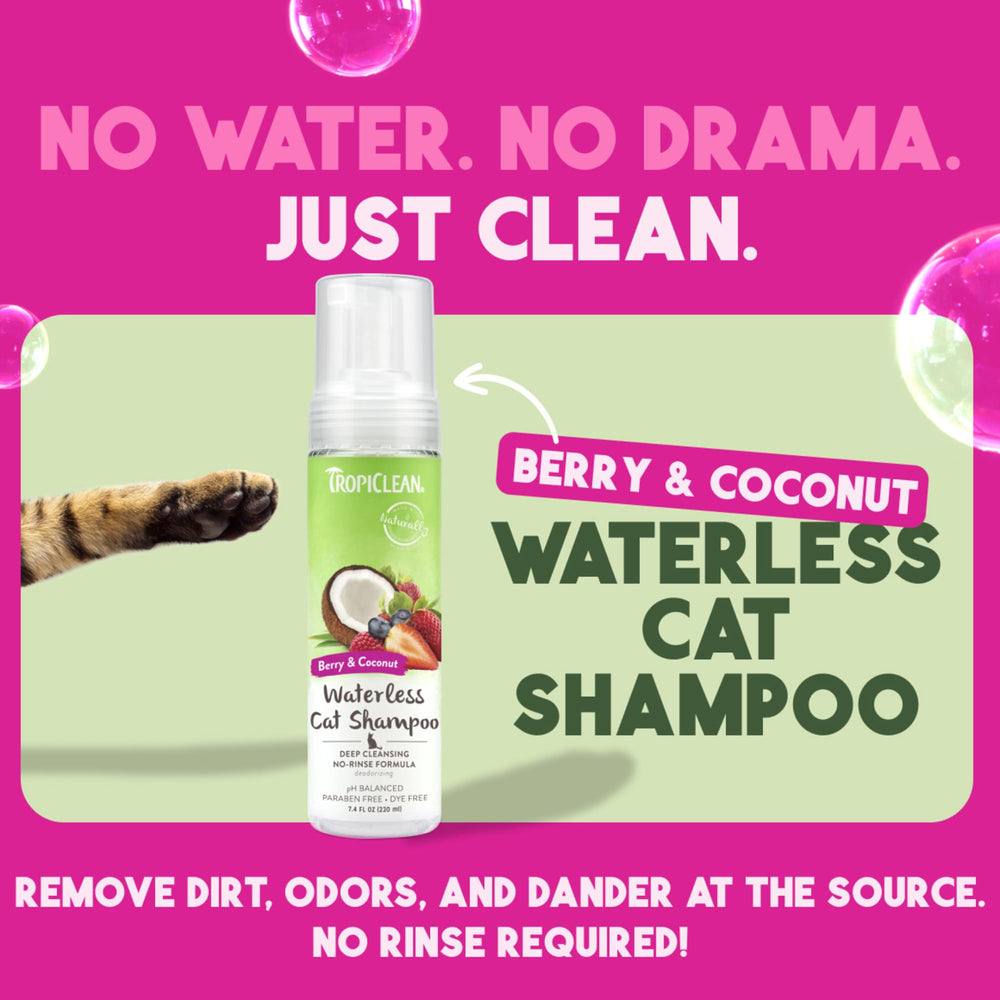 TropiClean Berry & Coconut waterless cat shampoo foam demonstrates fast in-between-clean lather.