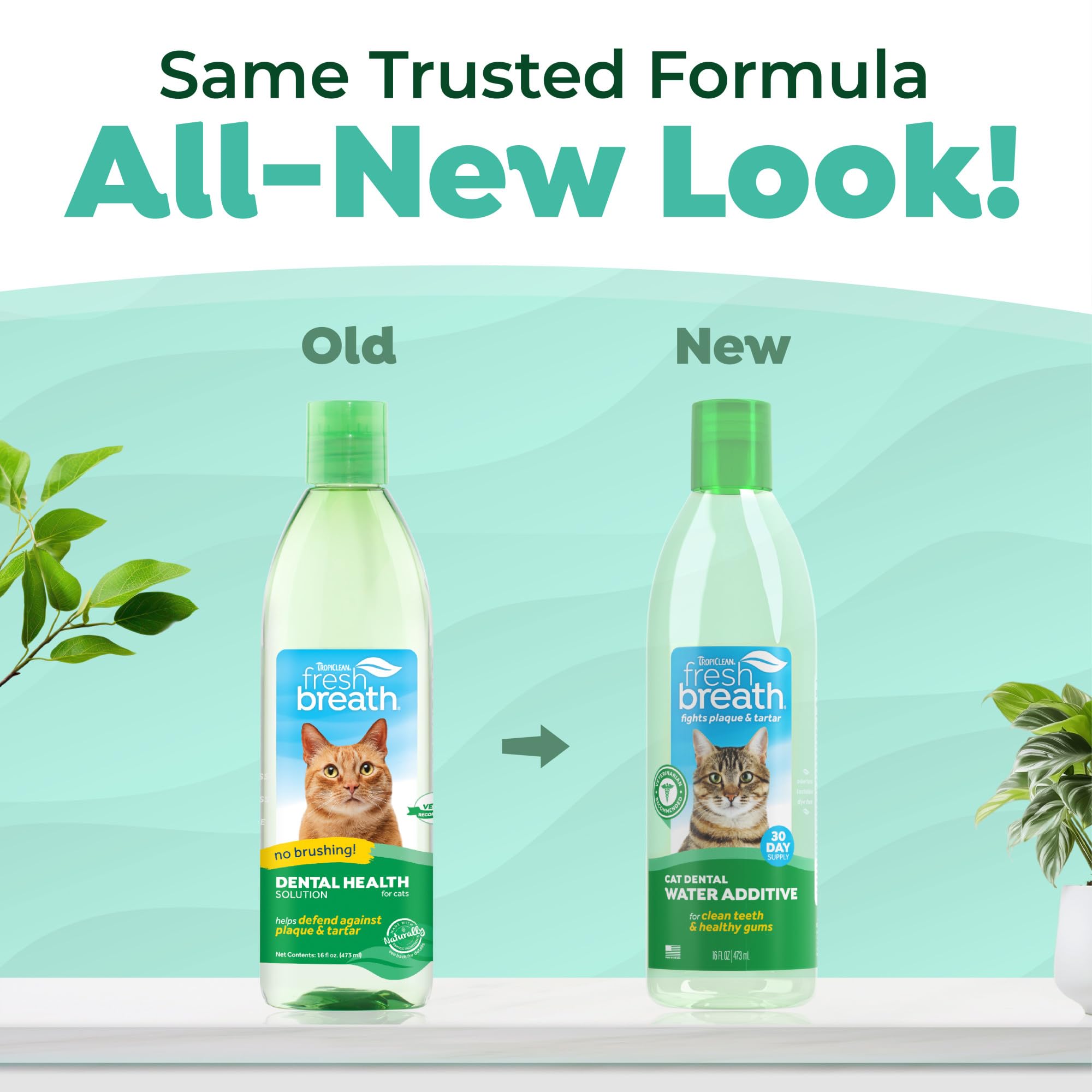 TropiClean cat breath freshness mixer highlights tasteless solution lasting up to 12 hours