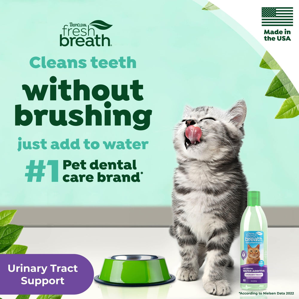 TropiClean cat teeth cleaning no toothbrush needed demonstrates simple care