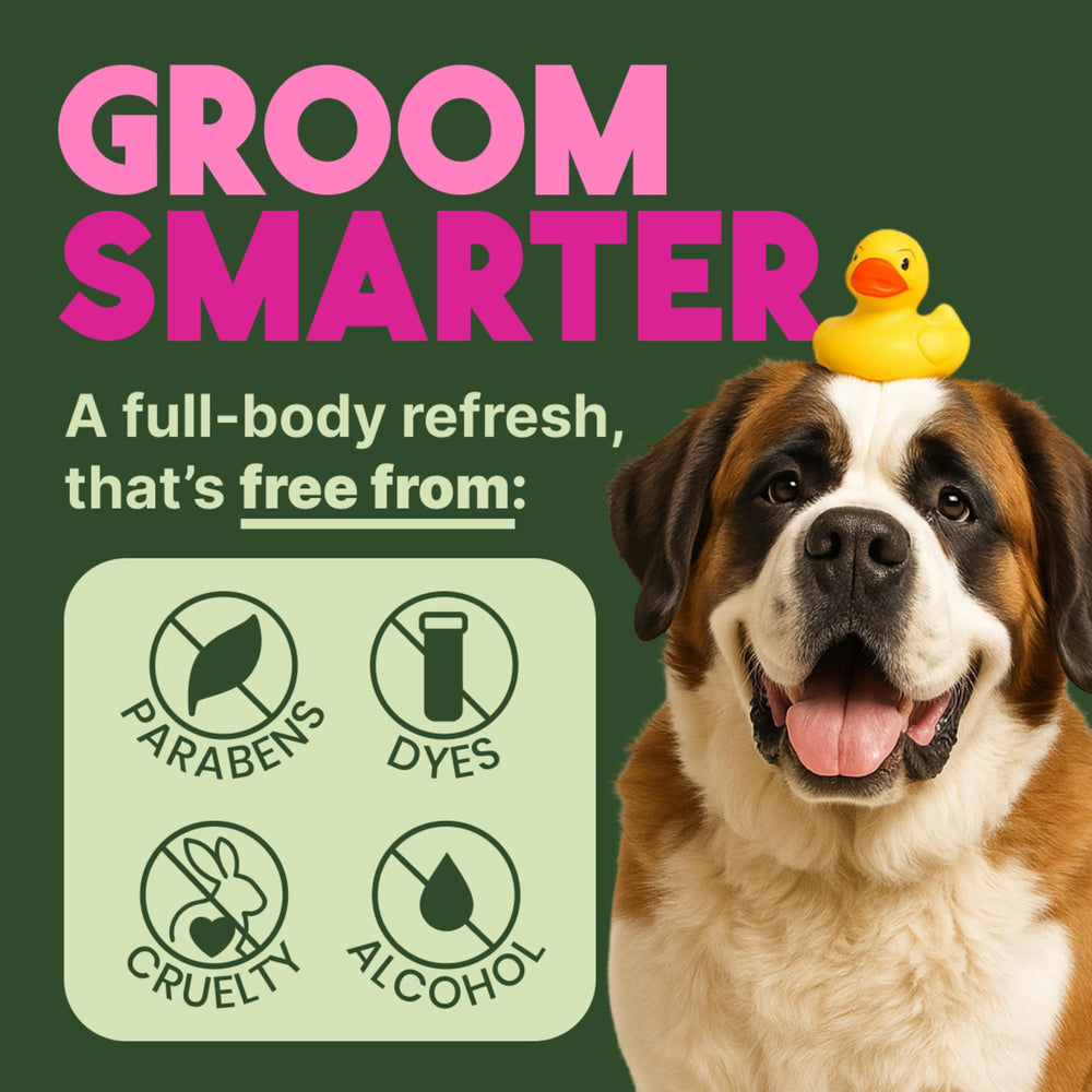 TropiClean Deep Cleaning Pet Wipes refresh body coats while moisturizing skin.