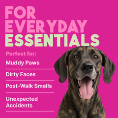 TropiClean Deep Cleaning Pet Wipes wipe paws, removing dirt after walks.