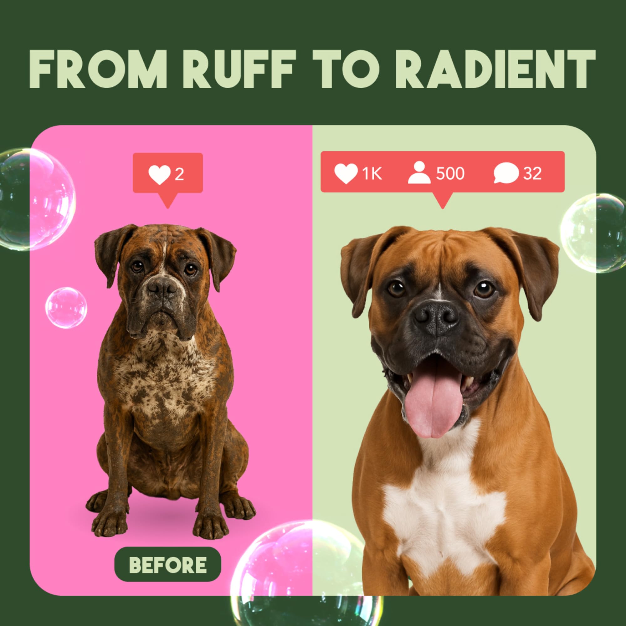 TropiClean kitten-safe designation makes grooming appropriate for young pets.