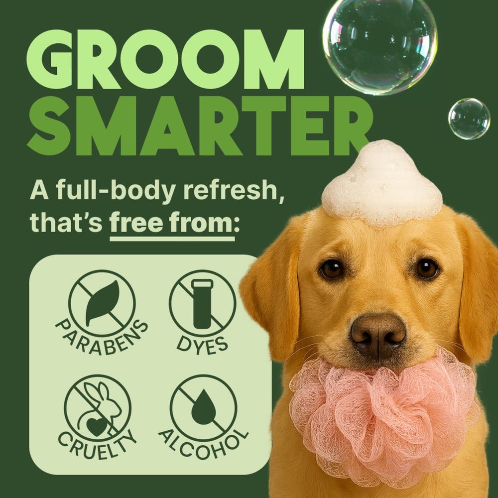 TropiClean deodorizing dog shampoo puppy-safe formula gentle on young dogs.