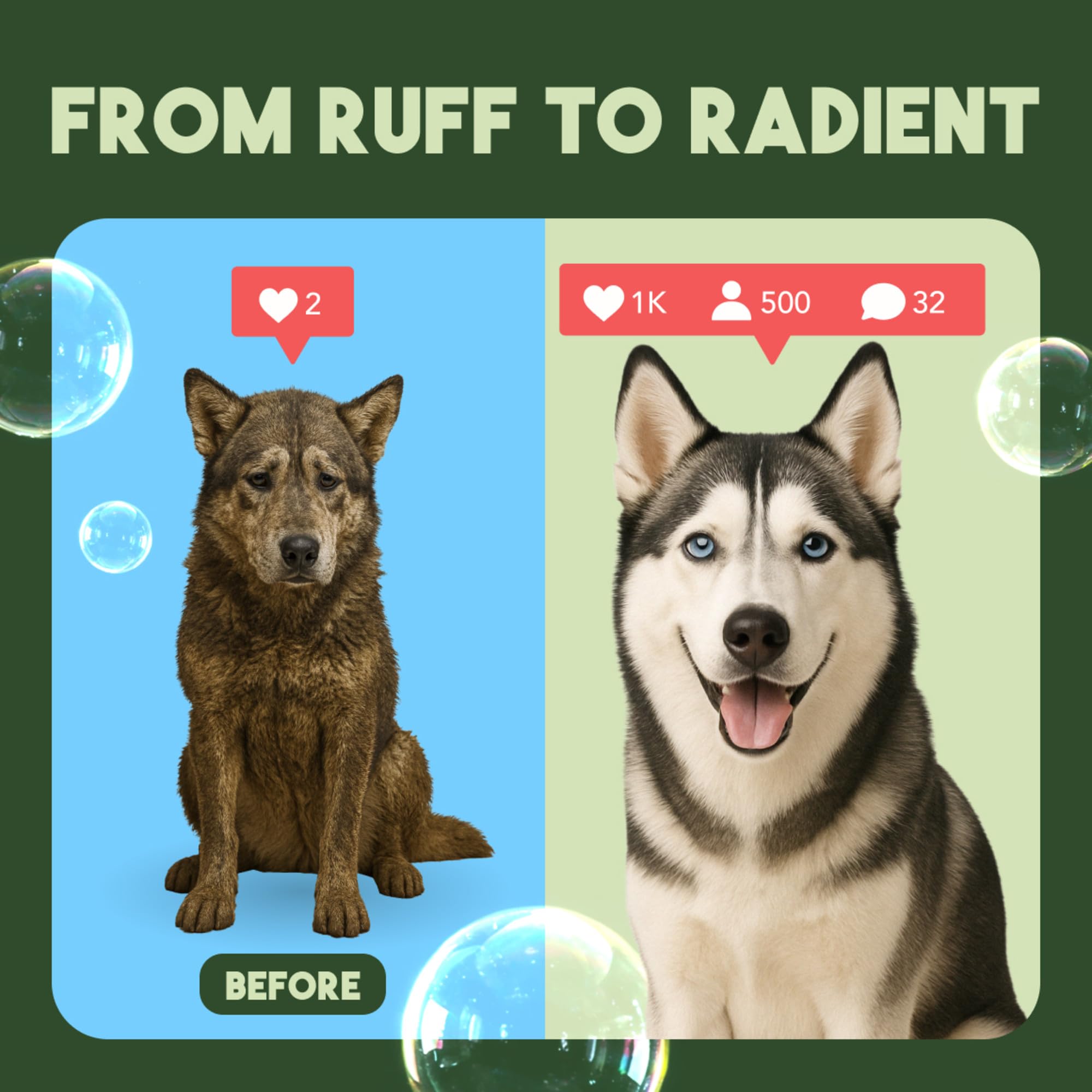 TropiClean is proudly made in the USA for pet grooming