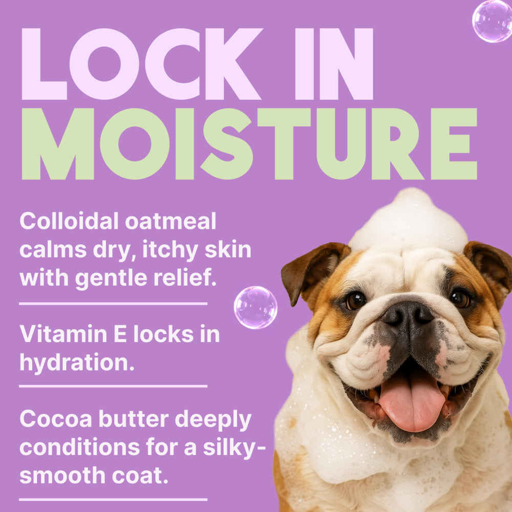 TropiClean dog conditioner bottle highlighting kiwi cocoa scent for odor reduction