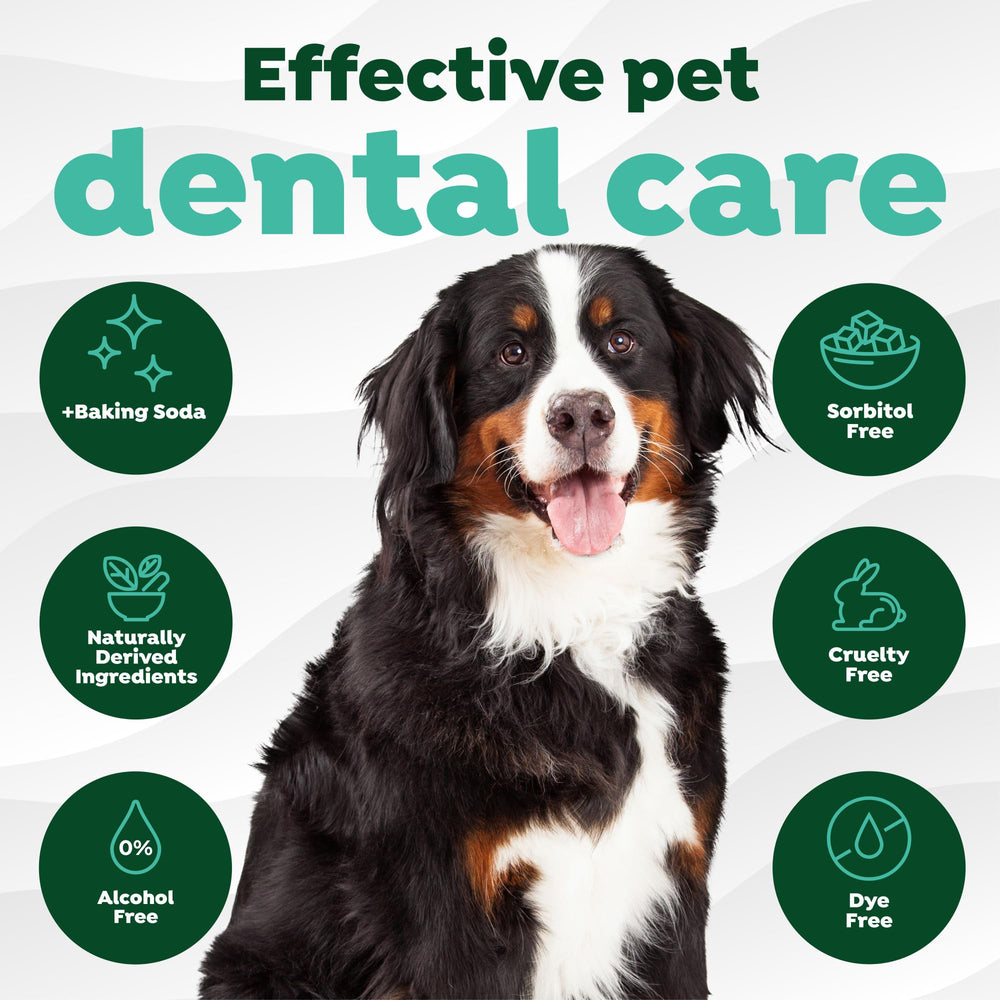 TropiClean dog-teeth-wipes application on gums demonstrates easy at-home oral care
