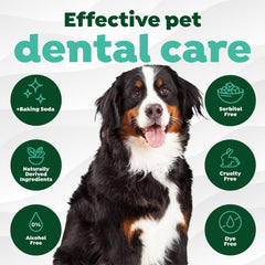 TropiClean dog-teeth-wipes application on gums demonstrates easy at-home oral care