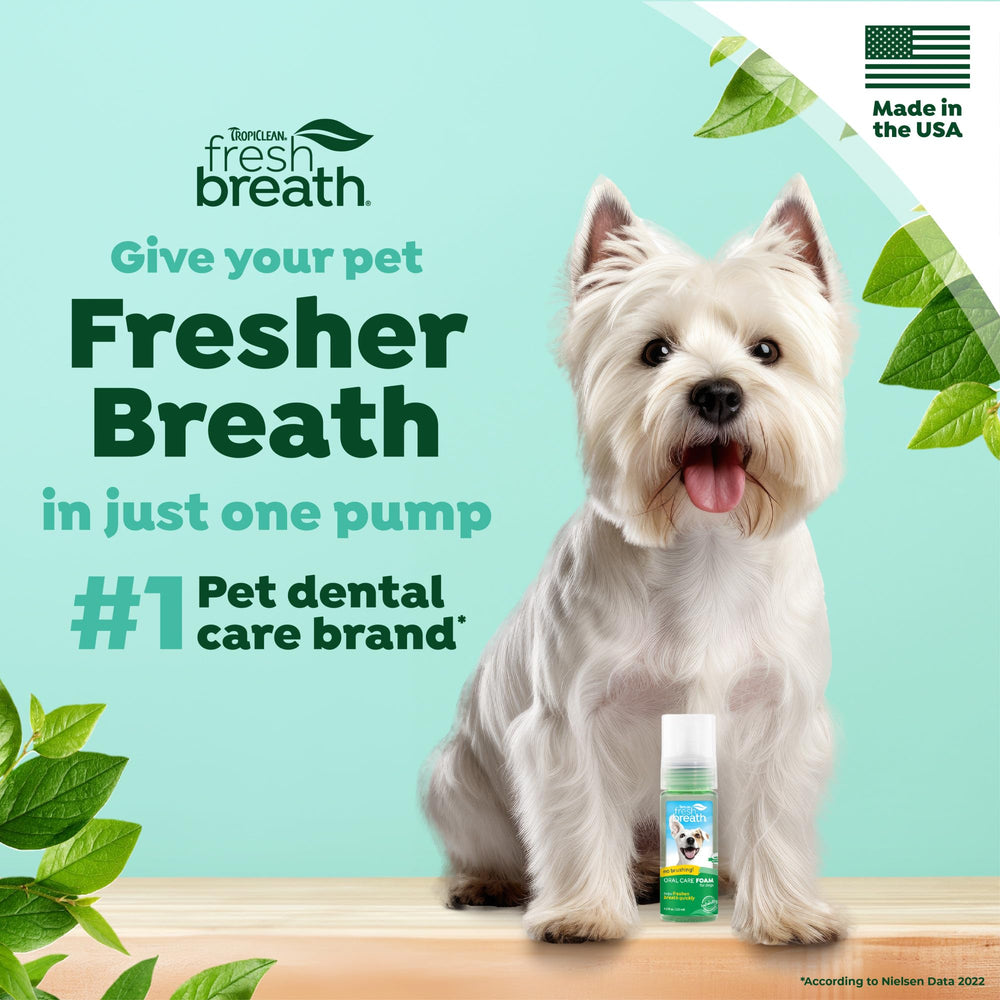 TropiClean Fresh Breath Foam Application on a dog — convenient oral care moment