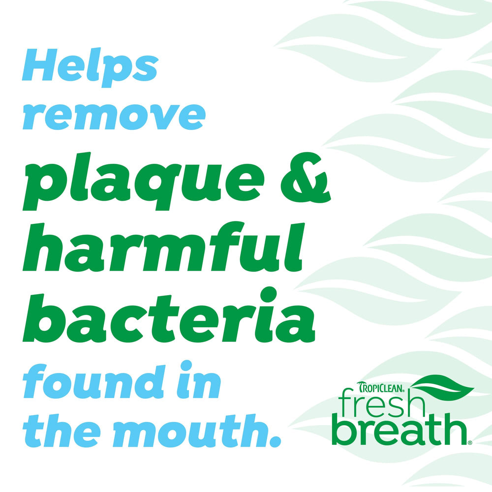 TropiClean easy dental care routine for cats