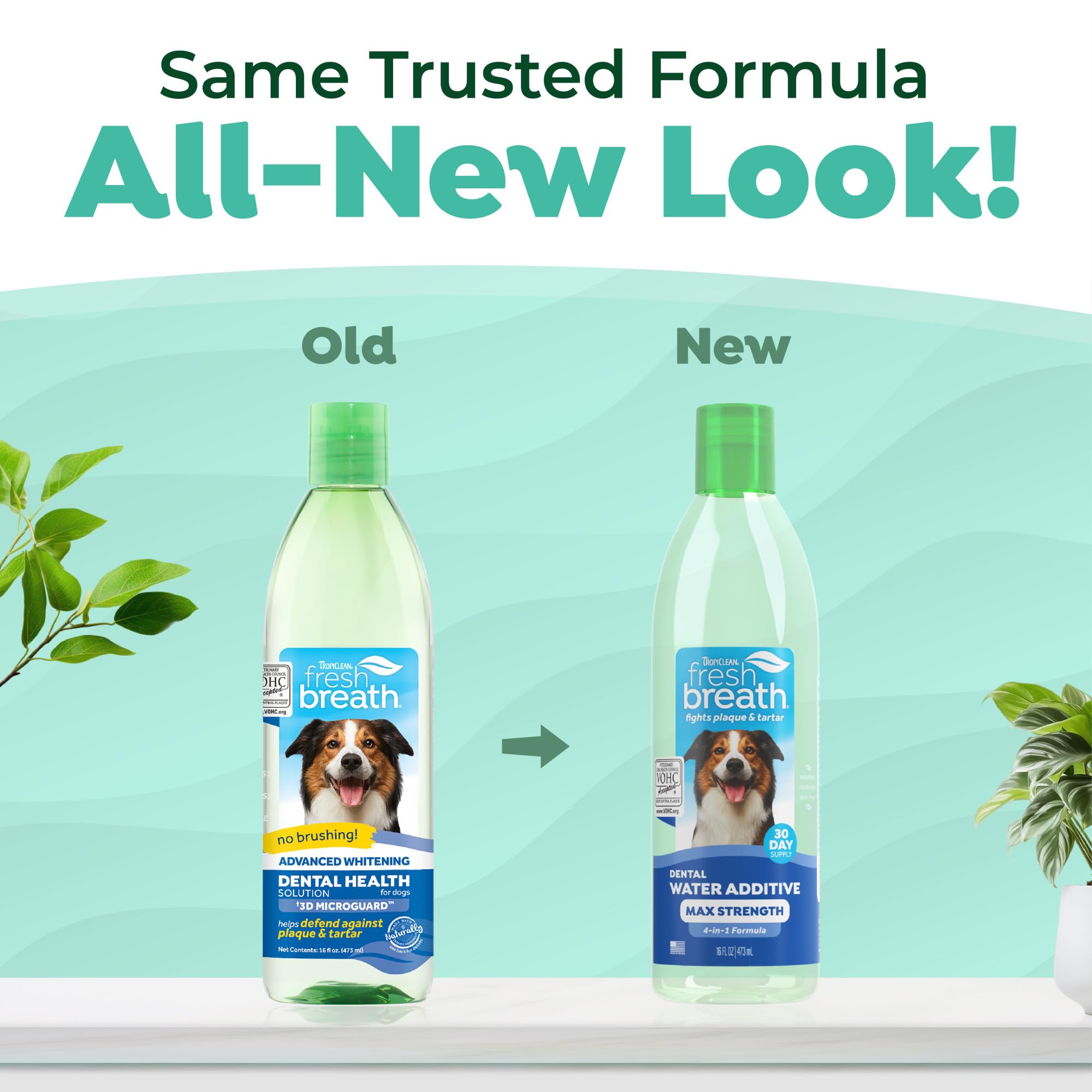 TropiClean Fresh Breath Advanced label closeup highlighting VOHC approval.