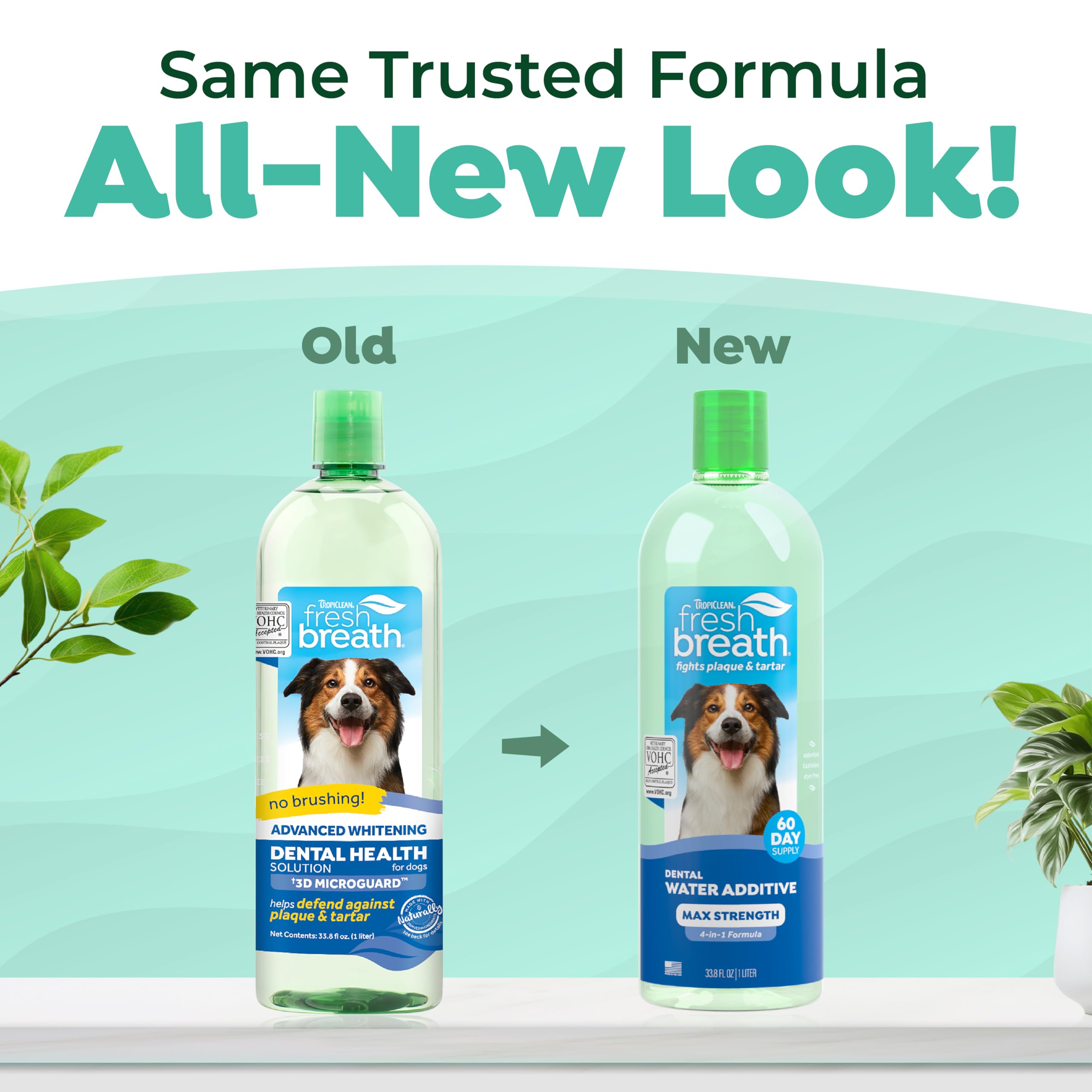 TropiClean water additive in dog bowl supports healthier gums and fresher breath