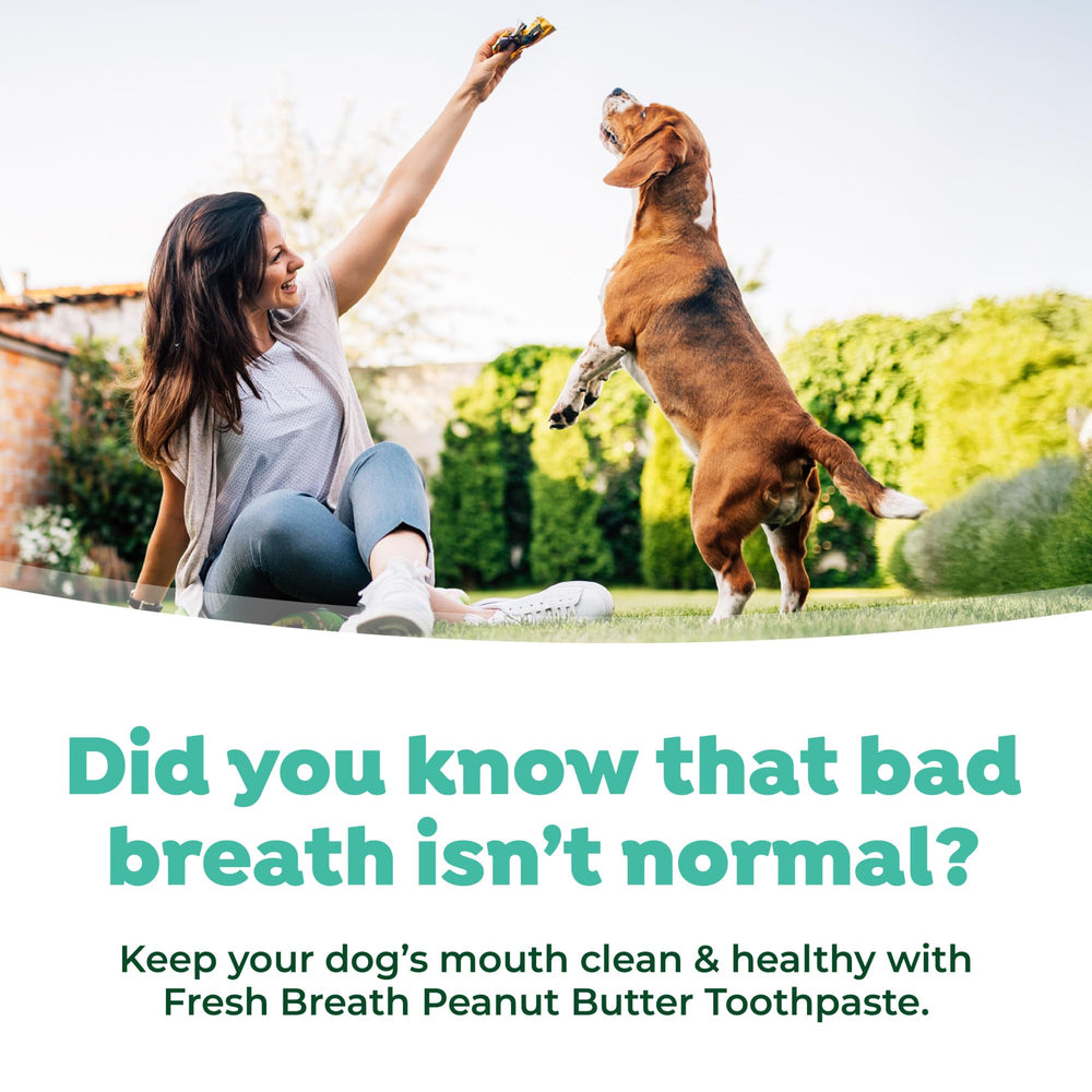 TropiClean Fresh Breath product is BPA-free for safer chewing.