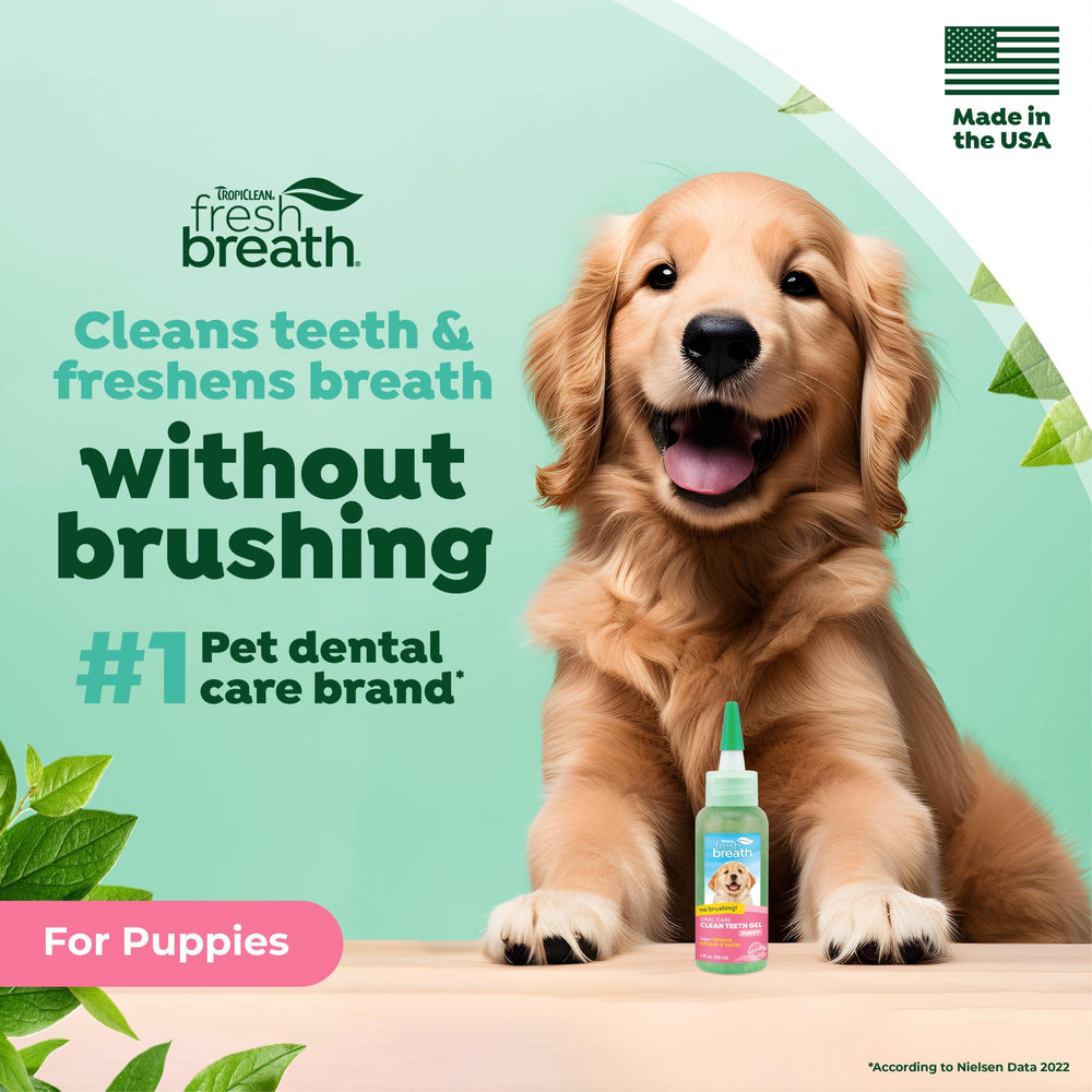 TropiClean Fresh Breath application on teeth demonstrates simple gel use.