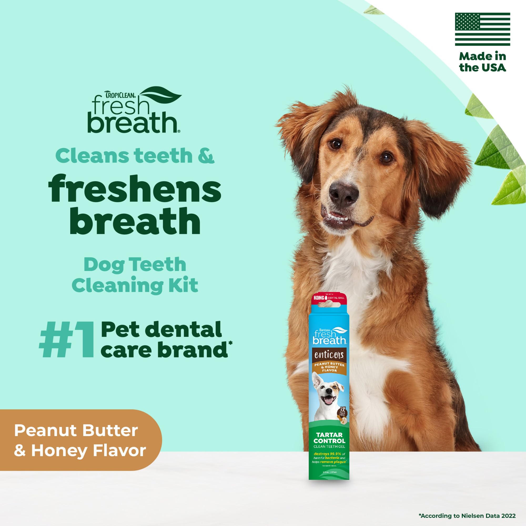TropiClean Fresh Breath toothpaste coating on teeth demonstrates surface coverage for thorough cleaning.