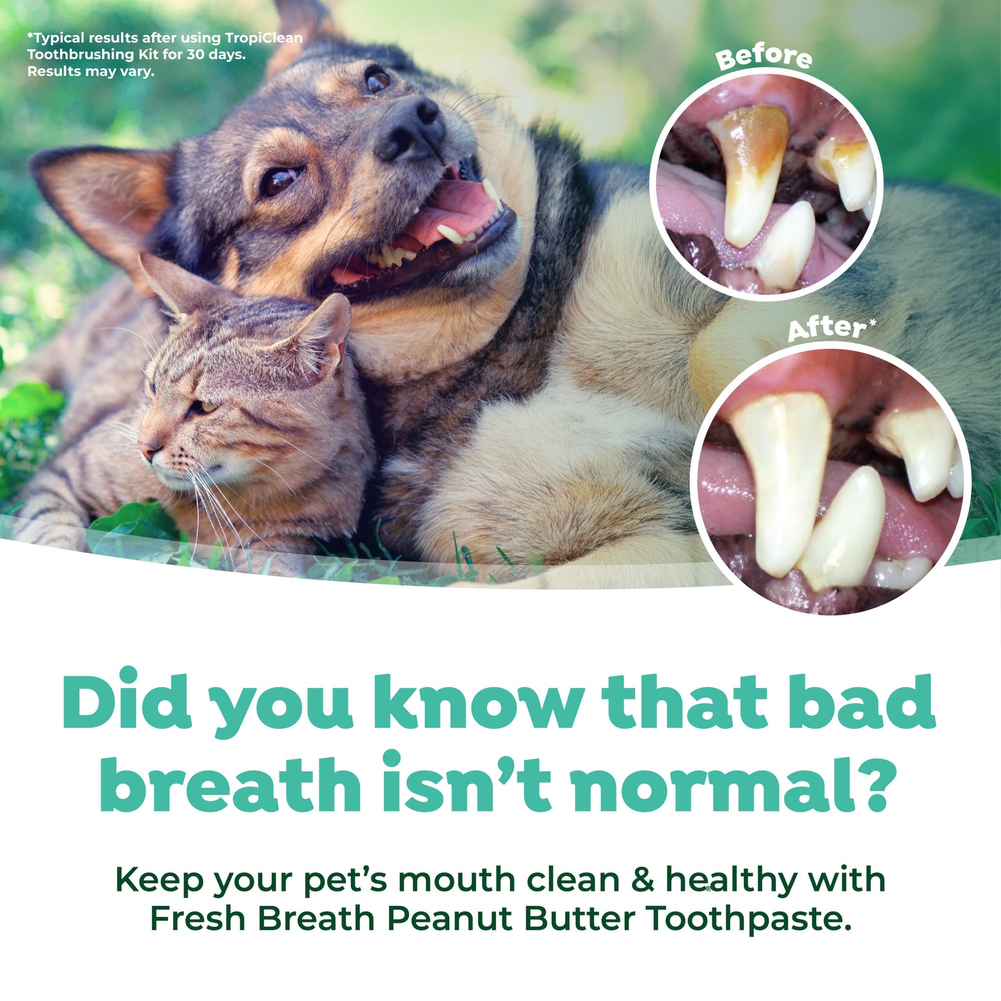 TropiClean Fresh Breath spray bottle for on-the-go freshness