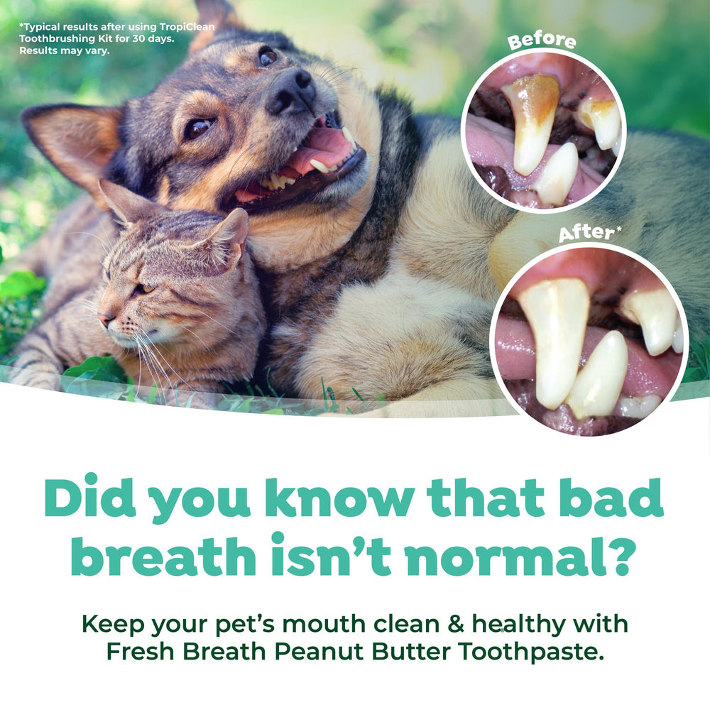 TropiClean Fresh Breath spray bottle for on-the-go freshness