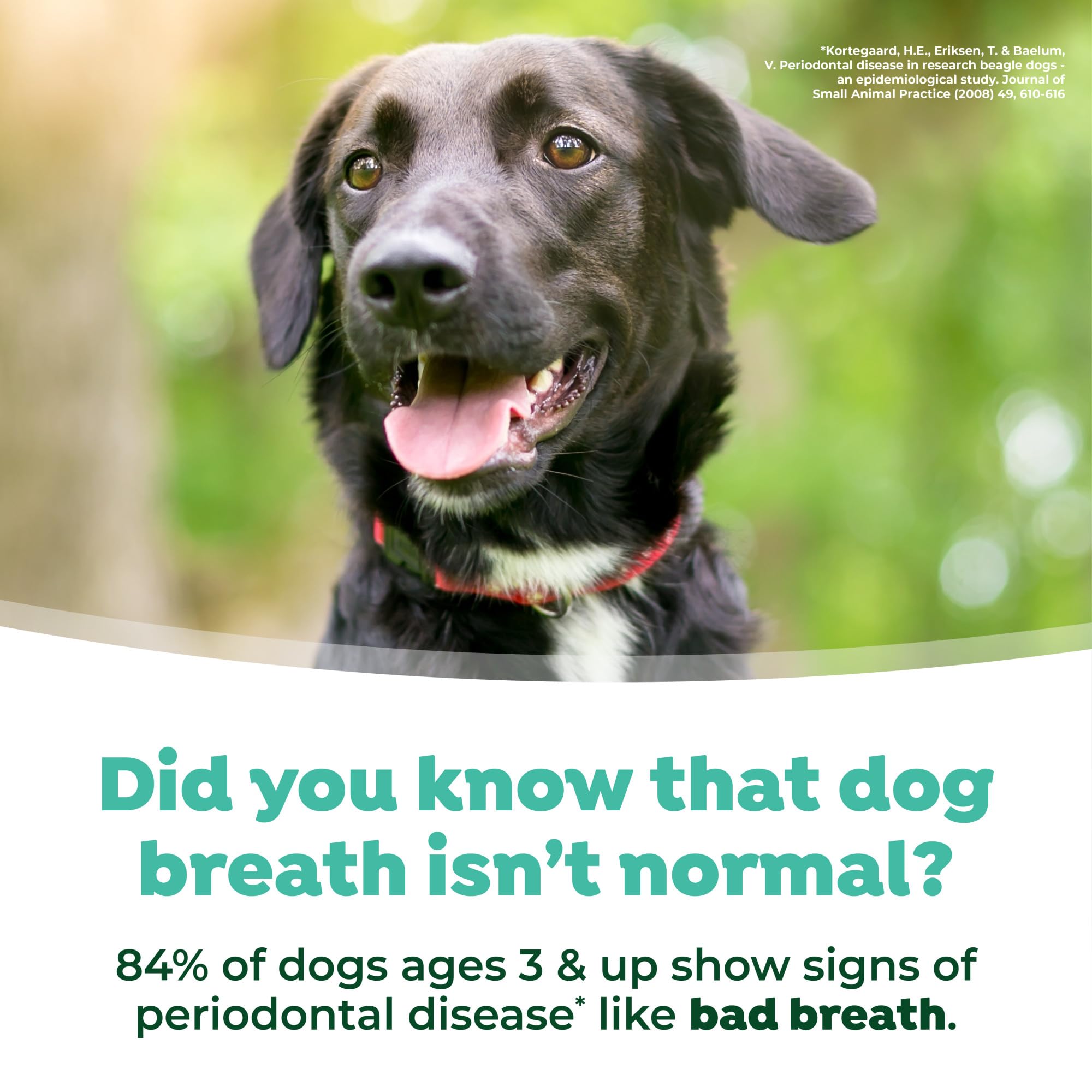 Pouring TropiClean Fresh Breath Water Additive into a water bowl