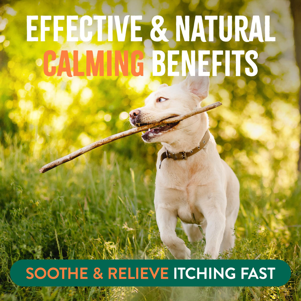 TropiClean fresh citrus scent aroma evokes a clean, calm experience during application.