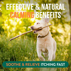 TropiClean fresh citrus scent aroma evokes a clean, calm experience during application.