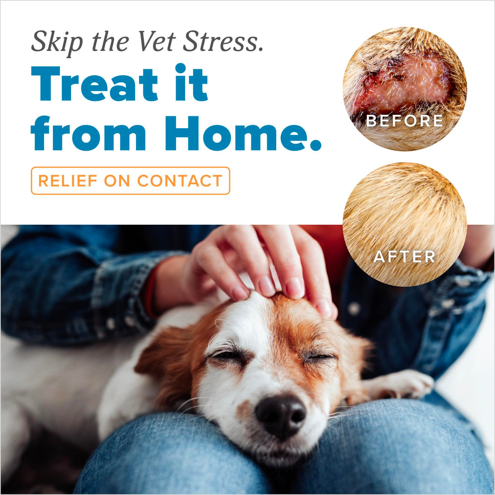 TropiClean HomeVet Medicated Cream on a dog paw for soothing relief.