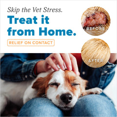 TropiClean HomeVet Medicated Cream on a dog paw for soothing relief.