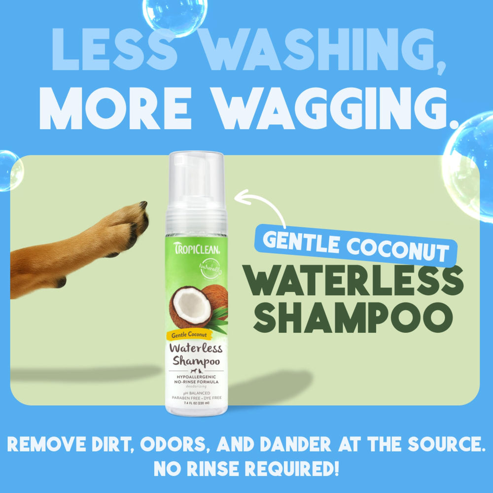 TropiClean waterless shampoo foam application shows quick coat refresh.