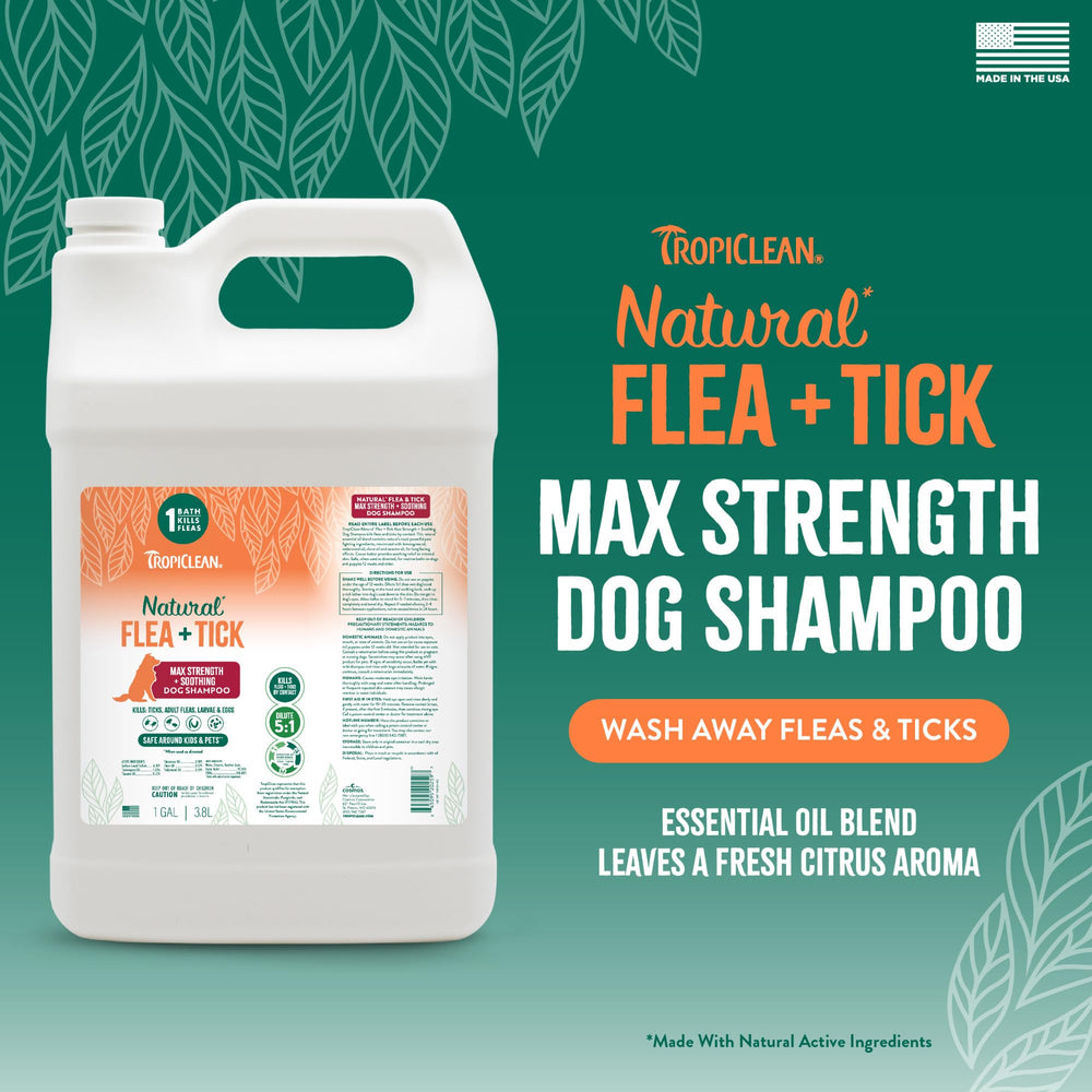 TropiClean Max Strength Shampoo lathers into rich foam, easing a thorough dog bath.