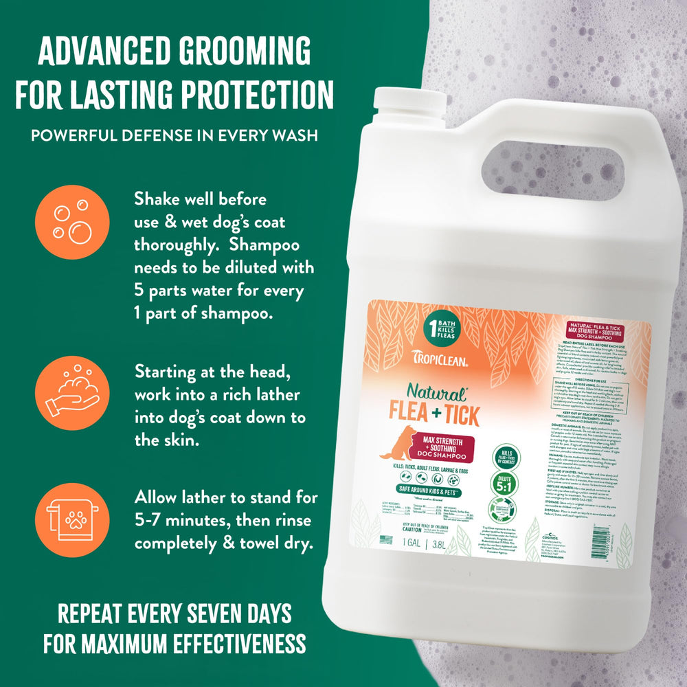 A dog owner uses TropiClean Max Strength Shampoo to protect homes and yards from pests.