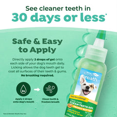 TropiClean No-Brushing Needed toothpaste demonstrates mess-free oral care.