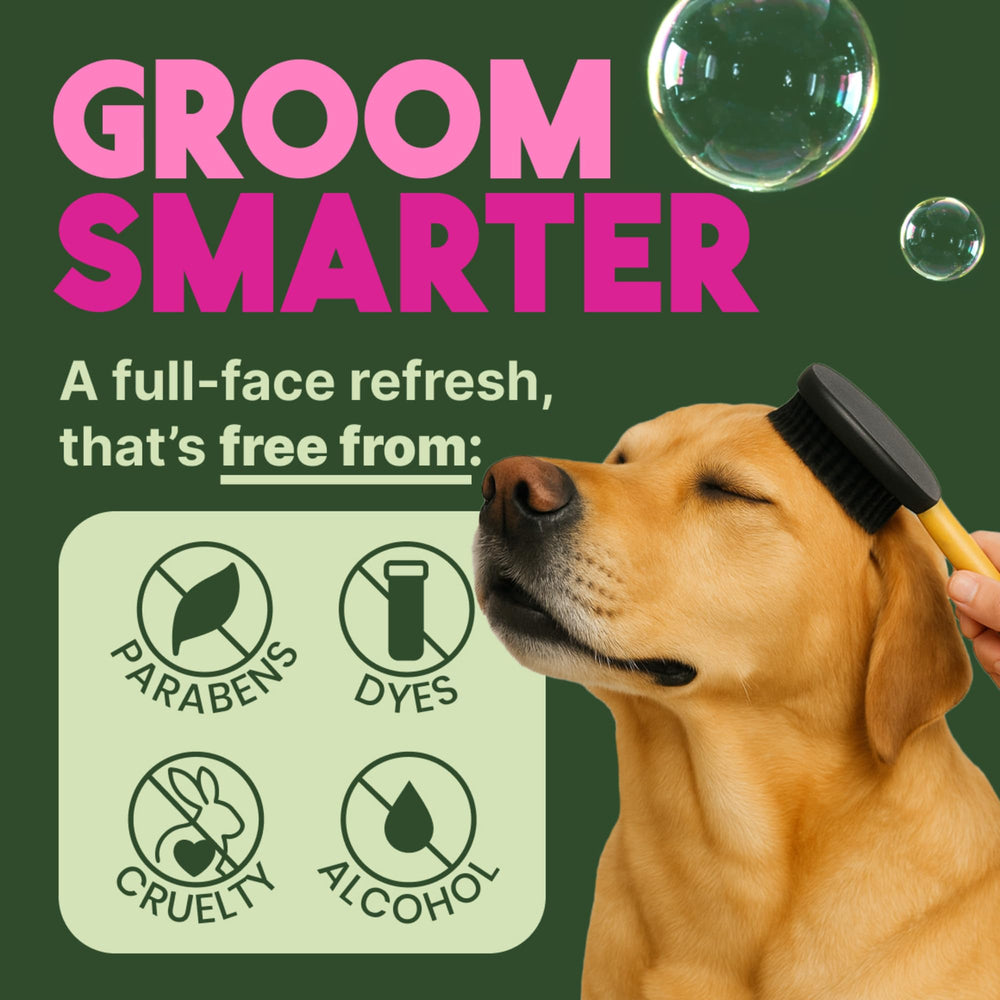 TropiClean No Rinse dog smile captures fresh berry scent post-clean
