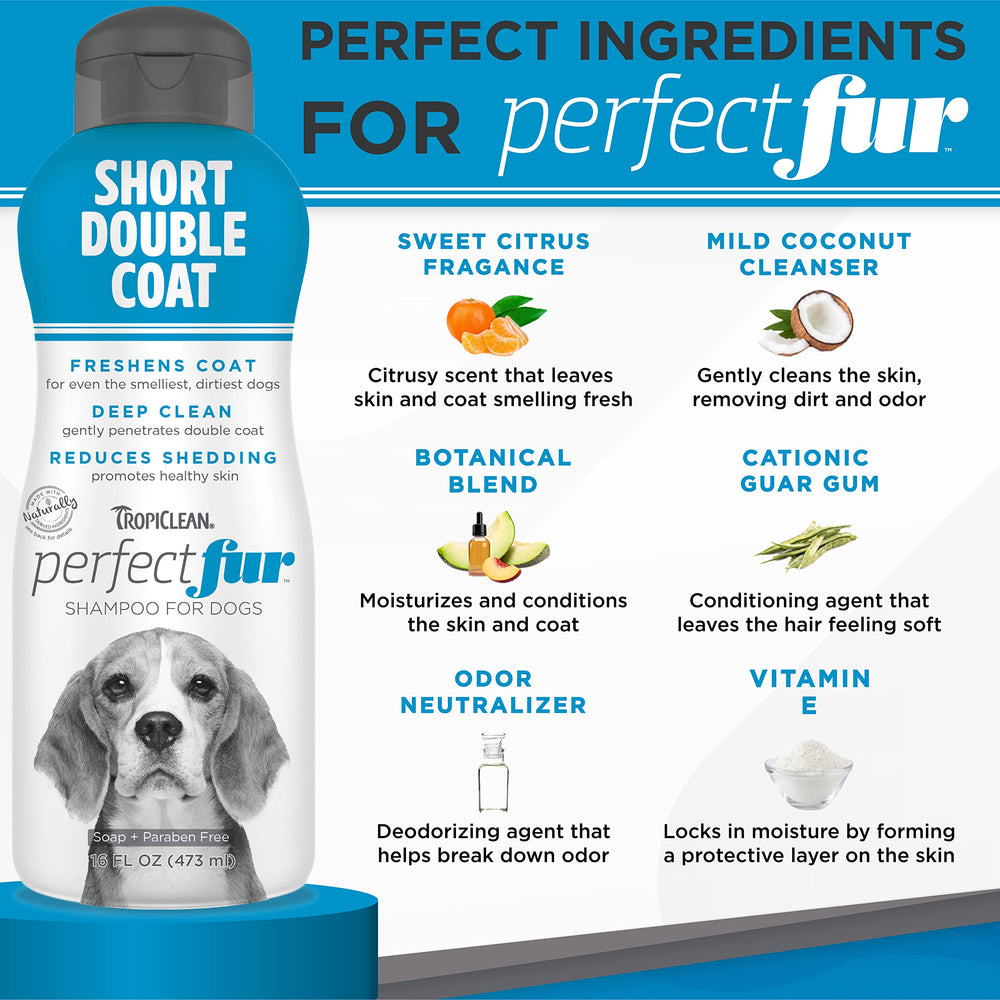 TropiClean Perfect Fur dog bath scene showing ready-to-wash posture.