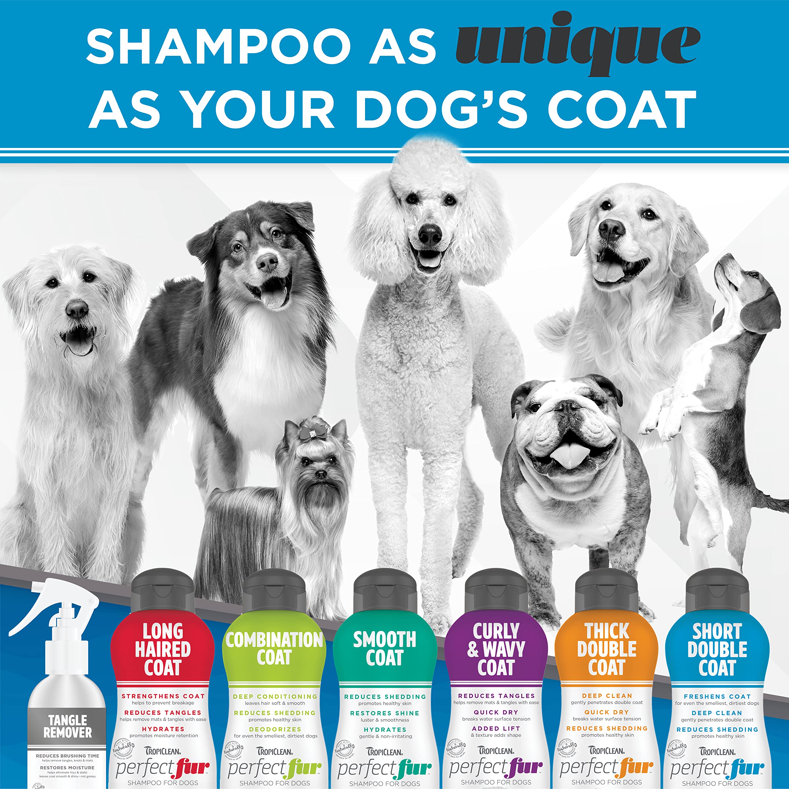 TropiClean Perfect Fur multi-dog bath setup for households with several pets.