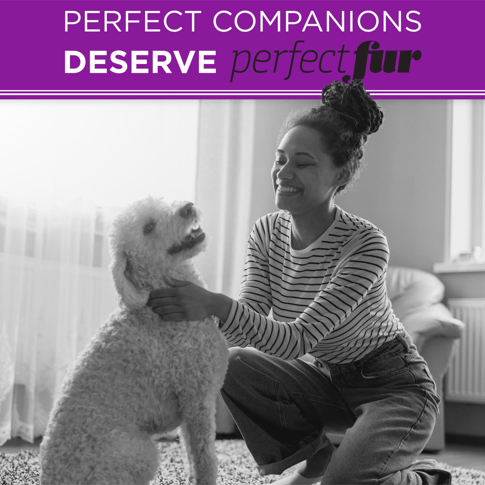 TropiClean Perfect Fur quinoa protein closeup suggests silky sheen.