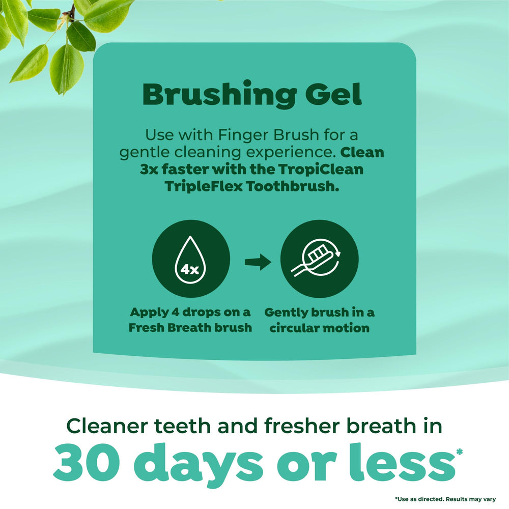 TropiClean dental kit in use on a small dog for care.