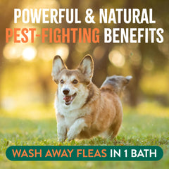 TropiClean Soothing Flea and Tick Shampoo lather on dog's coat for thorough cleaning