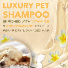 TropiClean SPA Lavish conditioner pour demonstrates easy control during grooming