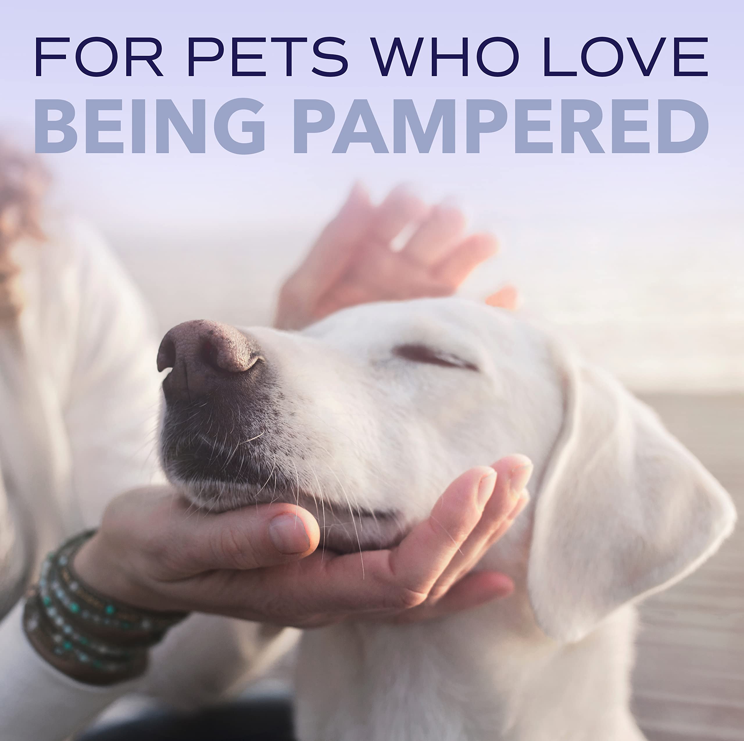 TropiClean SPA Lavish shampoo USA-made for pet lovers.