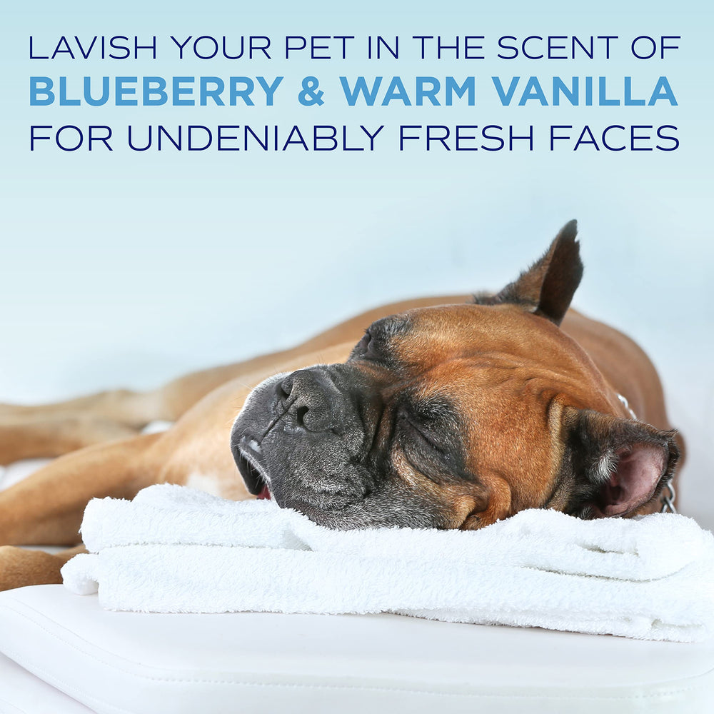 TropiClean SPA oatmeal vitamin E coat closeup communicates nourishing moisture.