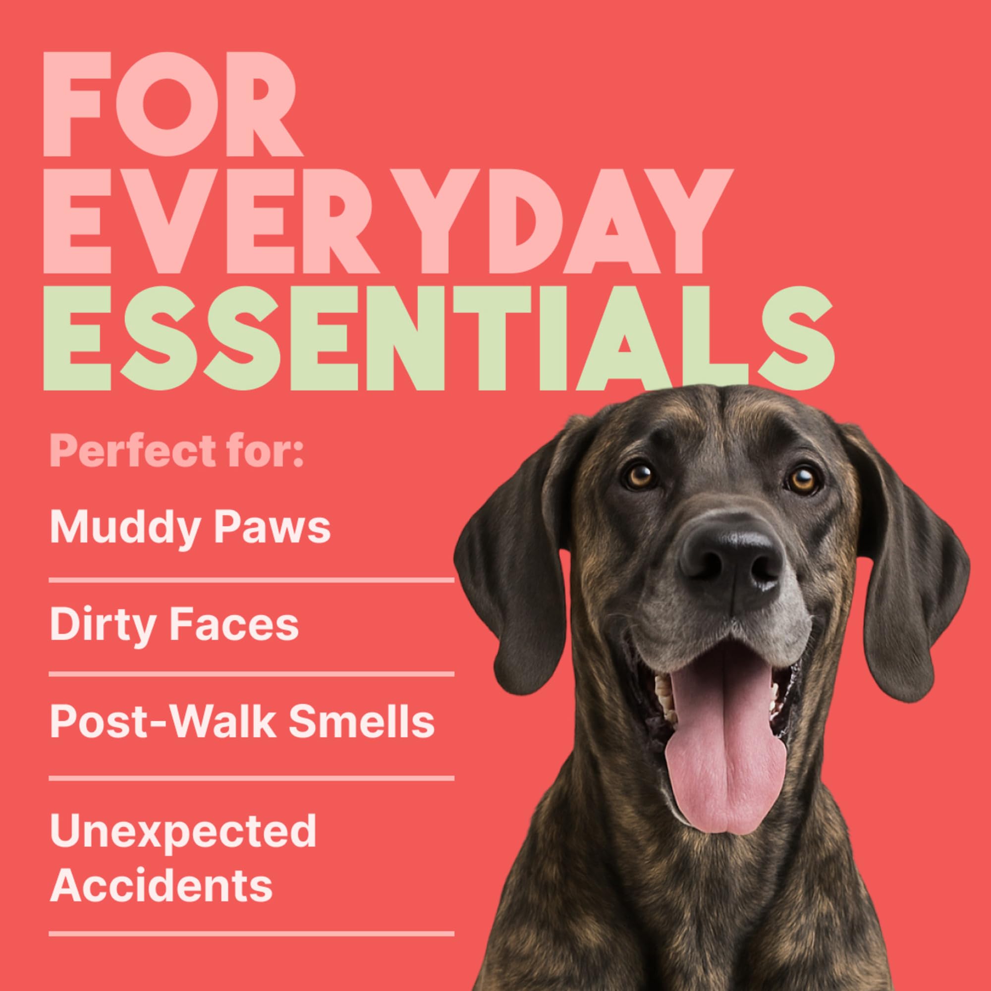 TropiClean Watermelon wipes moisturize skin and coat with natural ingredients.