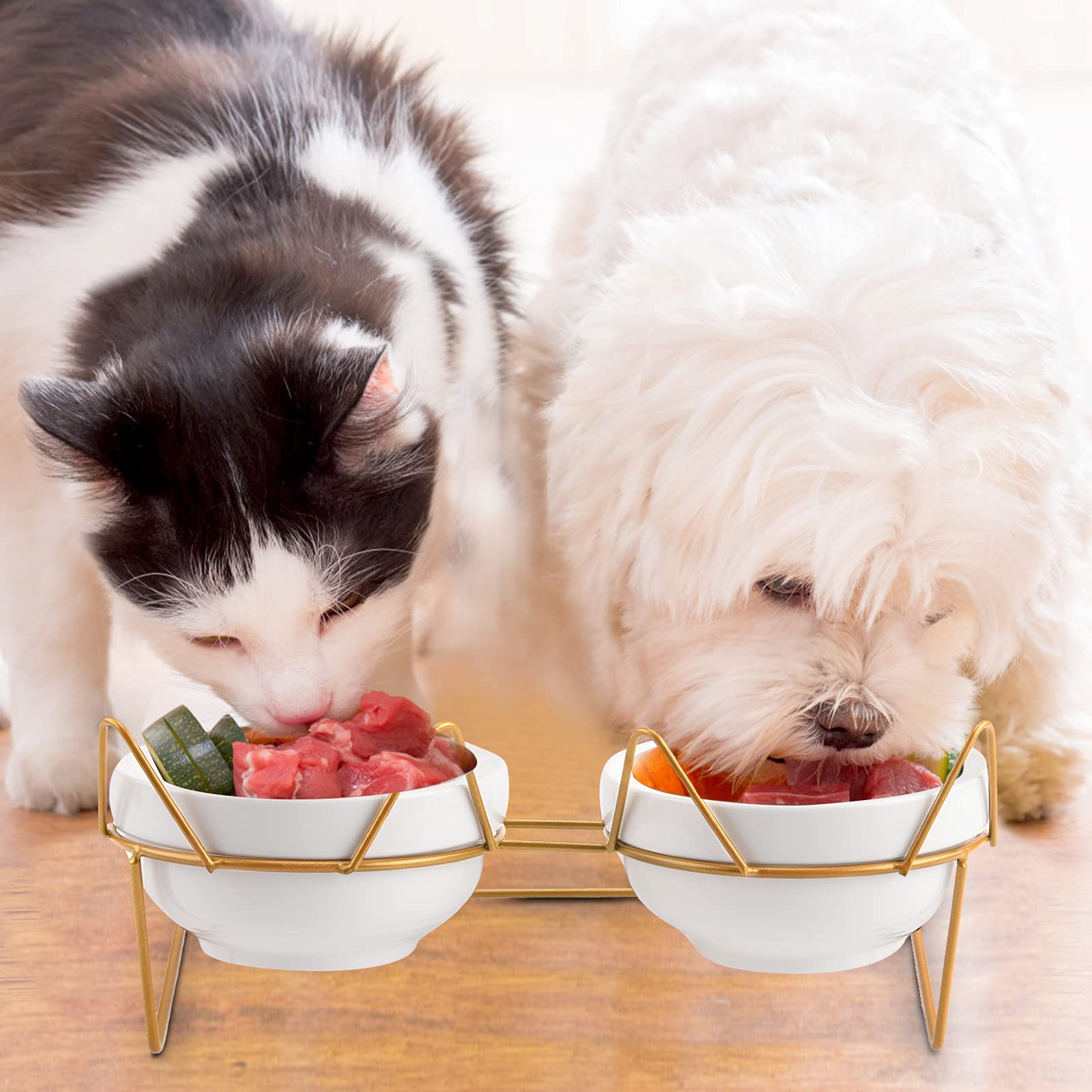 Trosetry cat bowls dimensions 4.92 by 5.04 by 2.76 inches.