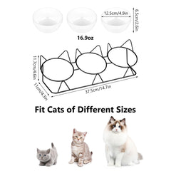 Trosetry cat bowls with silicone pet mat help contain spills and protect floors.