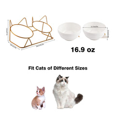 Trosetry cat bowls stand close-up ears design for stability.