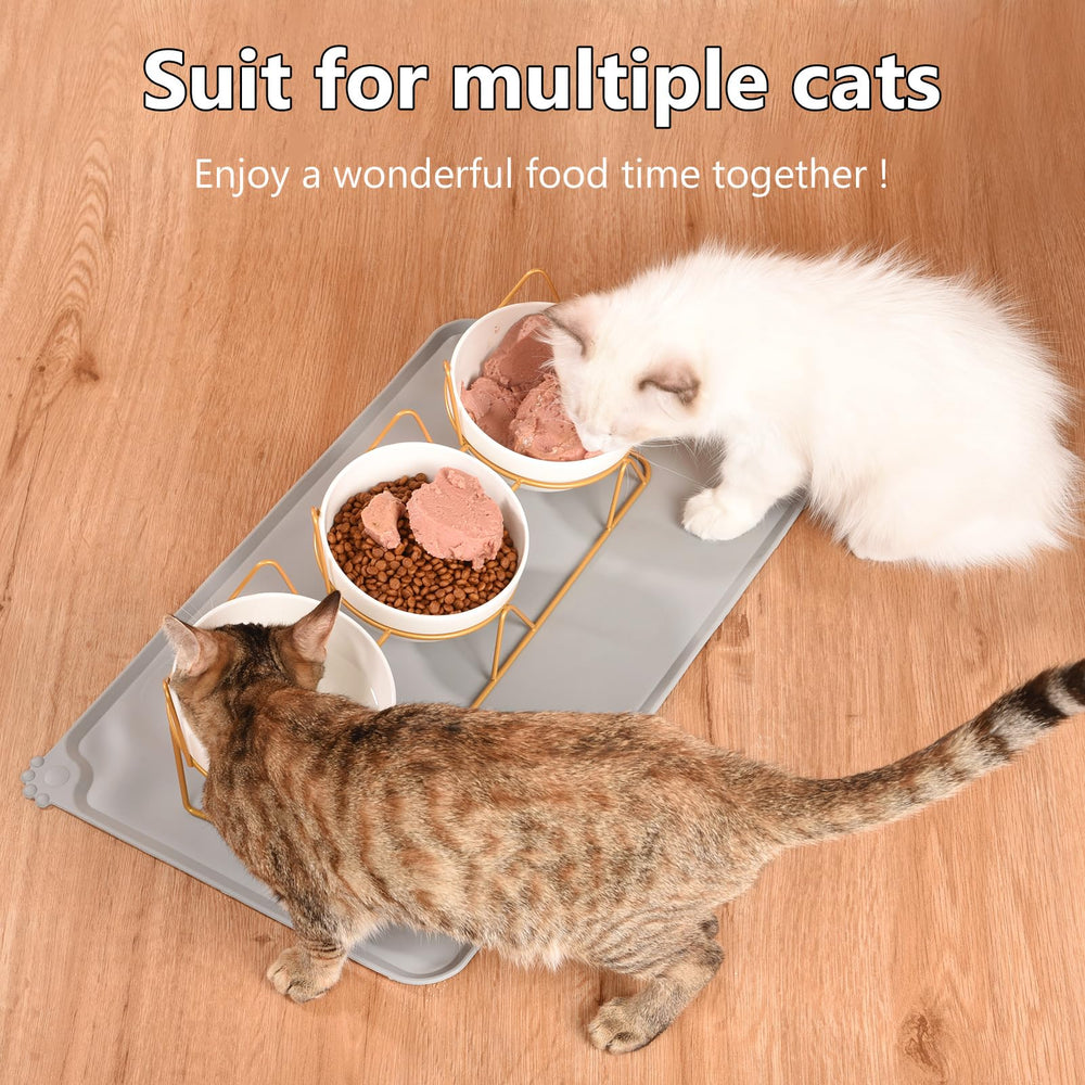 Trosetry tilted 15° design reduces splash and promotes calm eating.