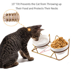 Trosetry cat bowls tilted stand side view shows ergonomic elevation for meals.