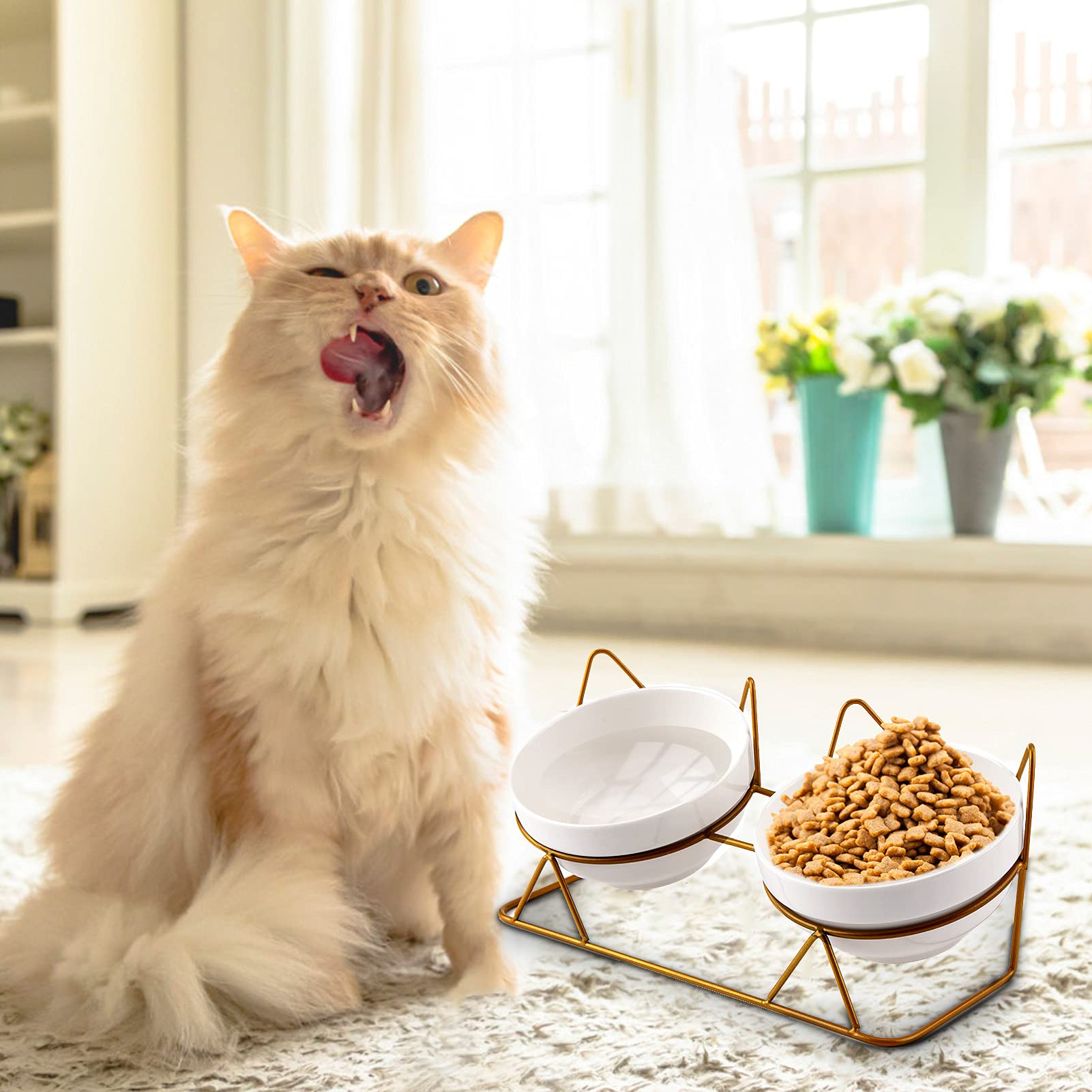 Trosetry cat bowls can feed two pets at once.