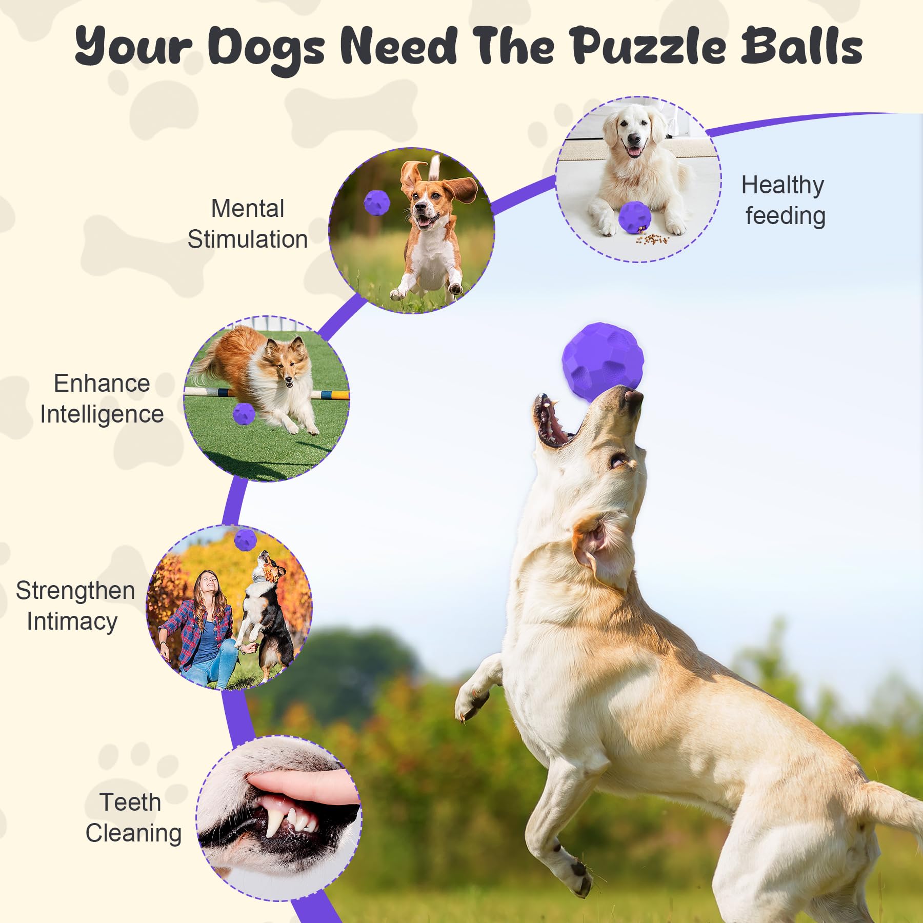 TROUSKAIG beef-flavored-dog-ball entices dogs to work for rewards.