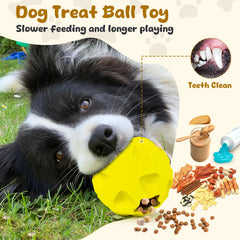 TROUSKAIG indoor-outdoor dog toy supports versatile play and chewing.