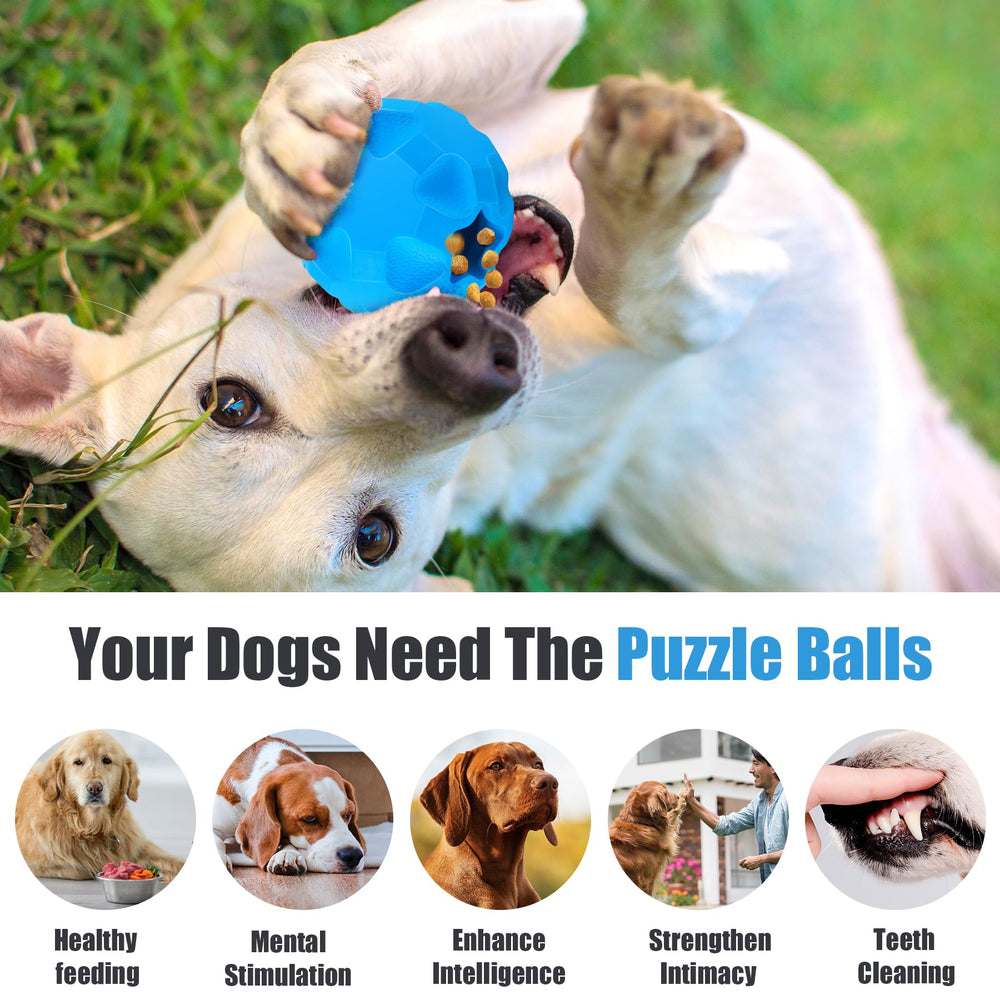 TROUSKAIG interactive toy with owner demonstrates bonding and guided rewards