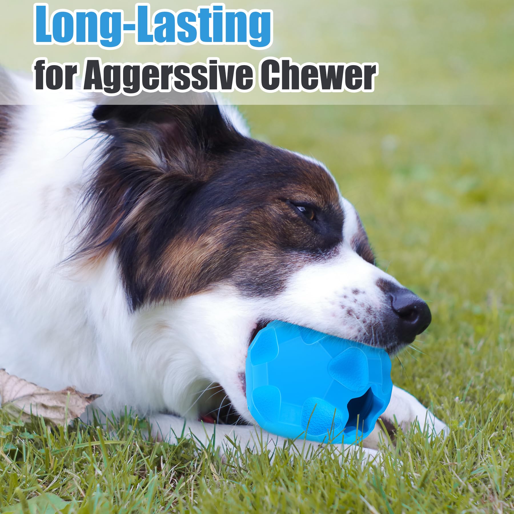 TROUSKAIG teeth-cleaning ball stem aids dental health during chew sessions