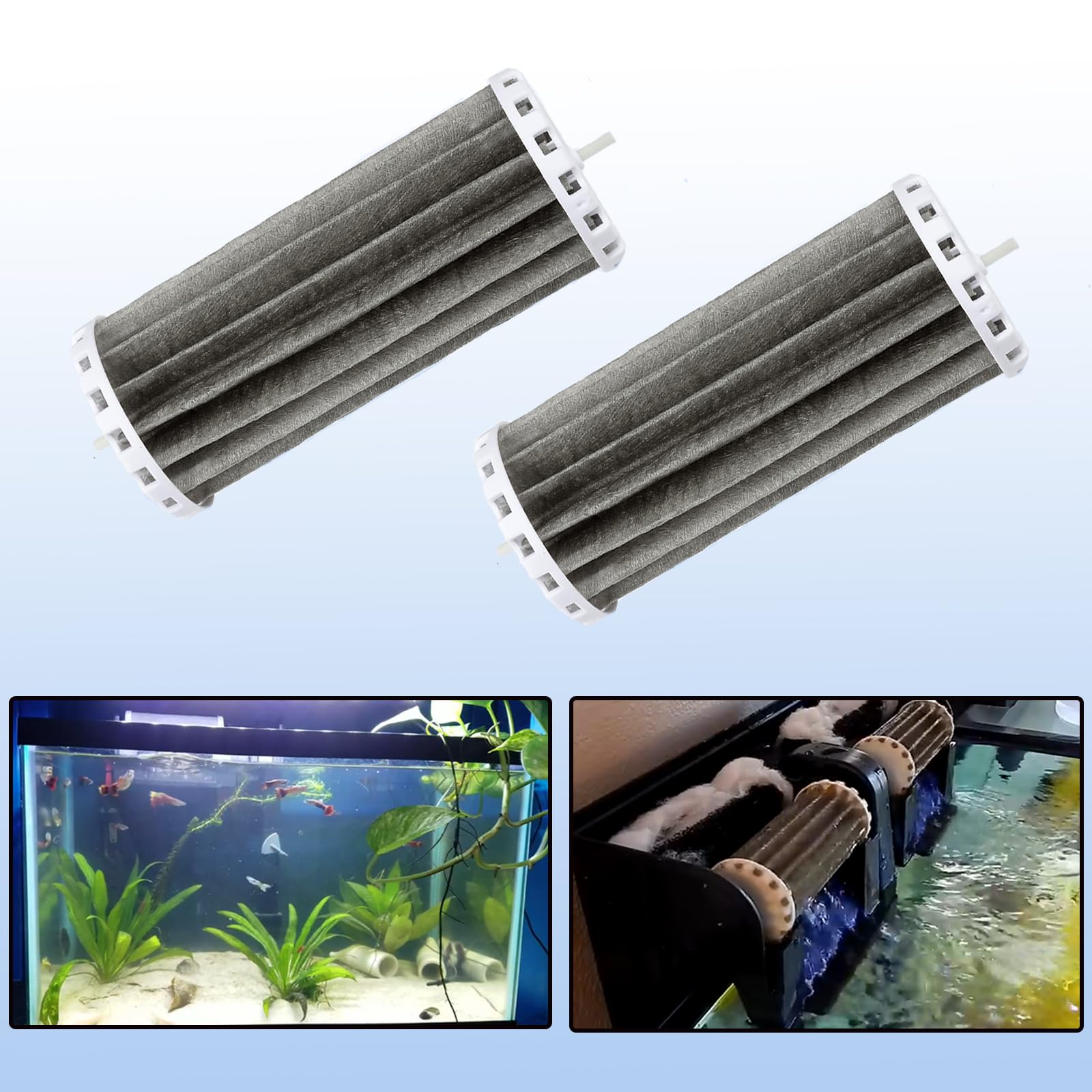 Trsobi filtration system supports healthier habitat with stable water conditions.